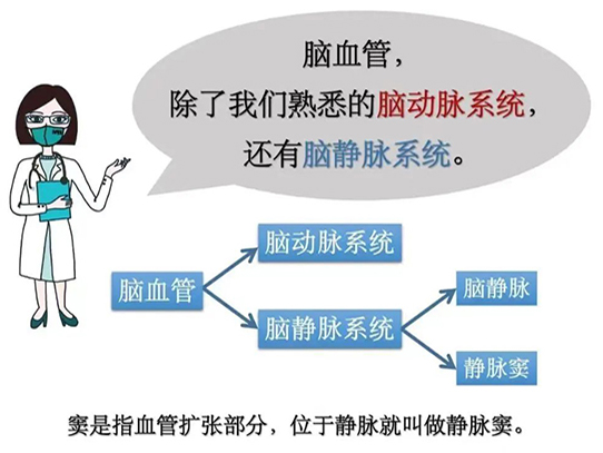 優(yōu)勢(shì)學(xué)科 | 不明原因頭暈頭痛 視力下降 警惕腦血管病特殊類型 顱內(nèi)靜脈竇血栓形成（CVST）